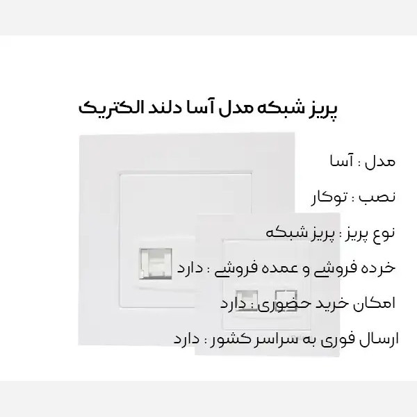 پریز شبکه سفید مدل آسا برند دلند الکتریک