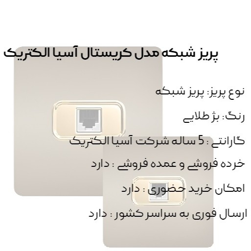 پریز شبکه بژ مدل کریستال آسیا الکتریک